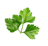 Saladerie Iceberg Saladerie A Menton Parsley 1