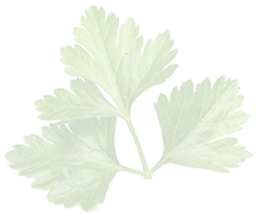 Saladerie Iceberg Saladerie A Menton Parsley