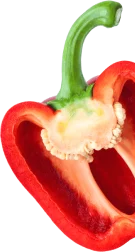 Saladerie Iceberg Saladerie A Menton Pepper 2